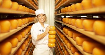 gouda-5-1